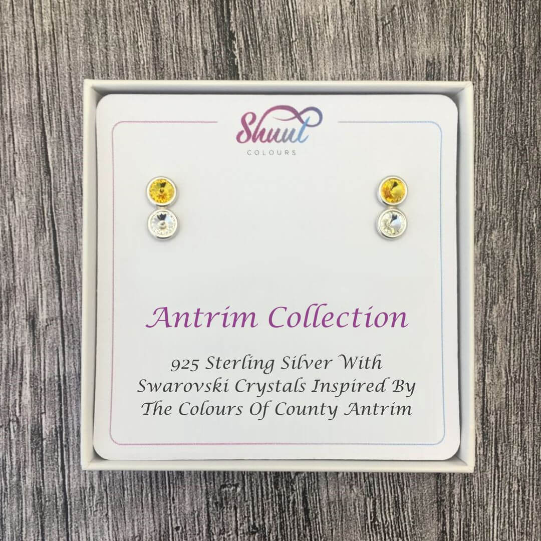 Irish County Colour Earrings - All Counties Available